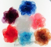 ����� �������������