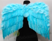 ������ ������������ 