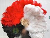 ���� �� ���� ������� 18 - �����