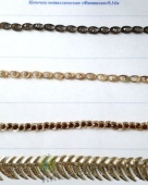 ������� ������������ ������������